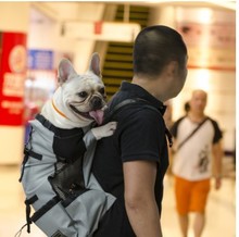 宠物双肩旅客背包狗狗露头包通风透气可水洗单车户外逛街背包