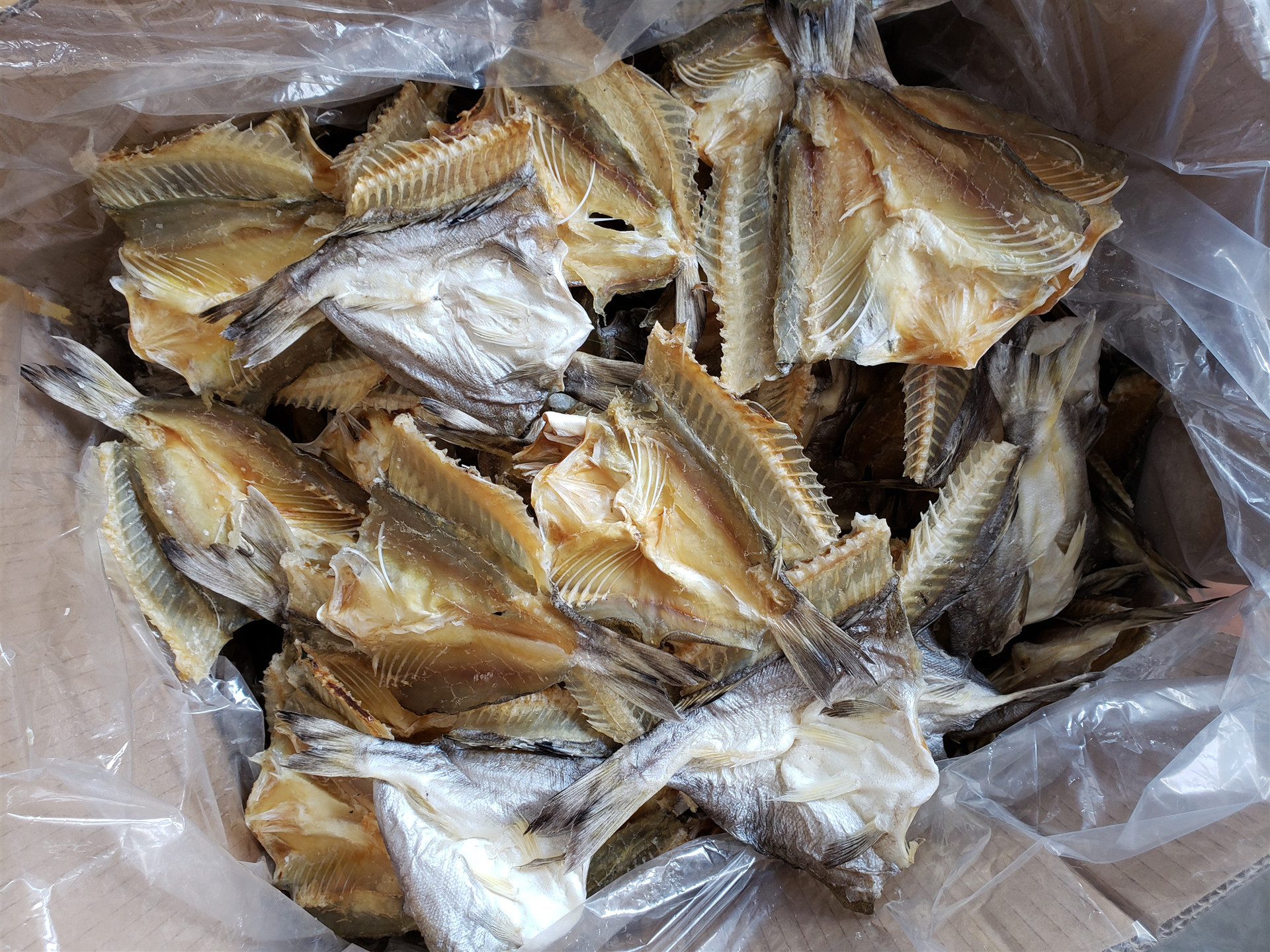 批发 鱼干 天然海鱼海鲜干货 北海淡晒咸鱼鱼干 花丽鱼开片 500g