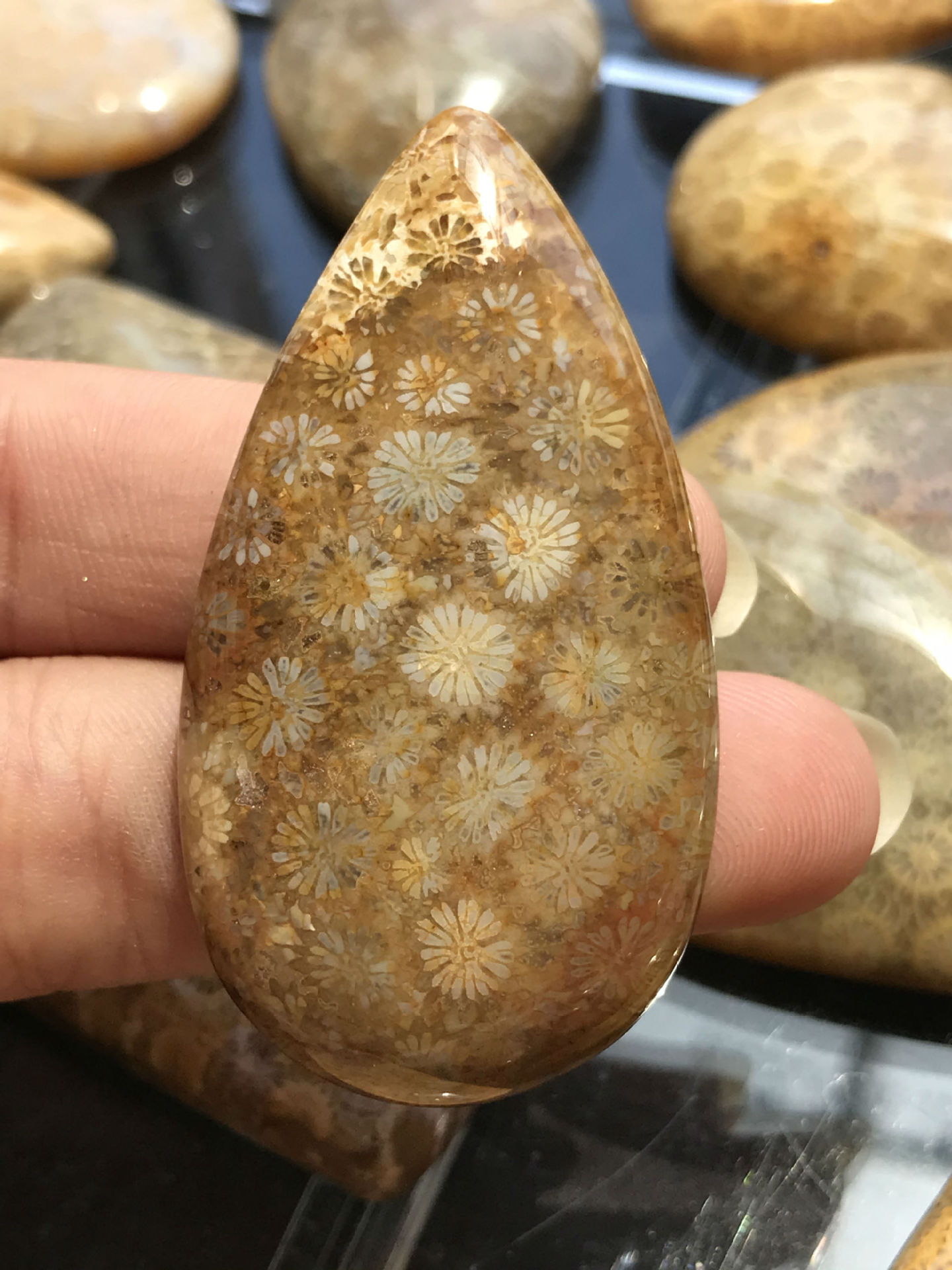 双木林珠宝 印尼天然玉化 珊瑚玉 吊坠 台湾 菊花石 厂家批发