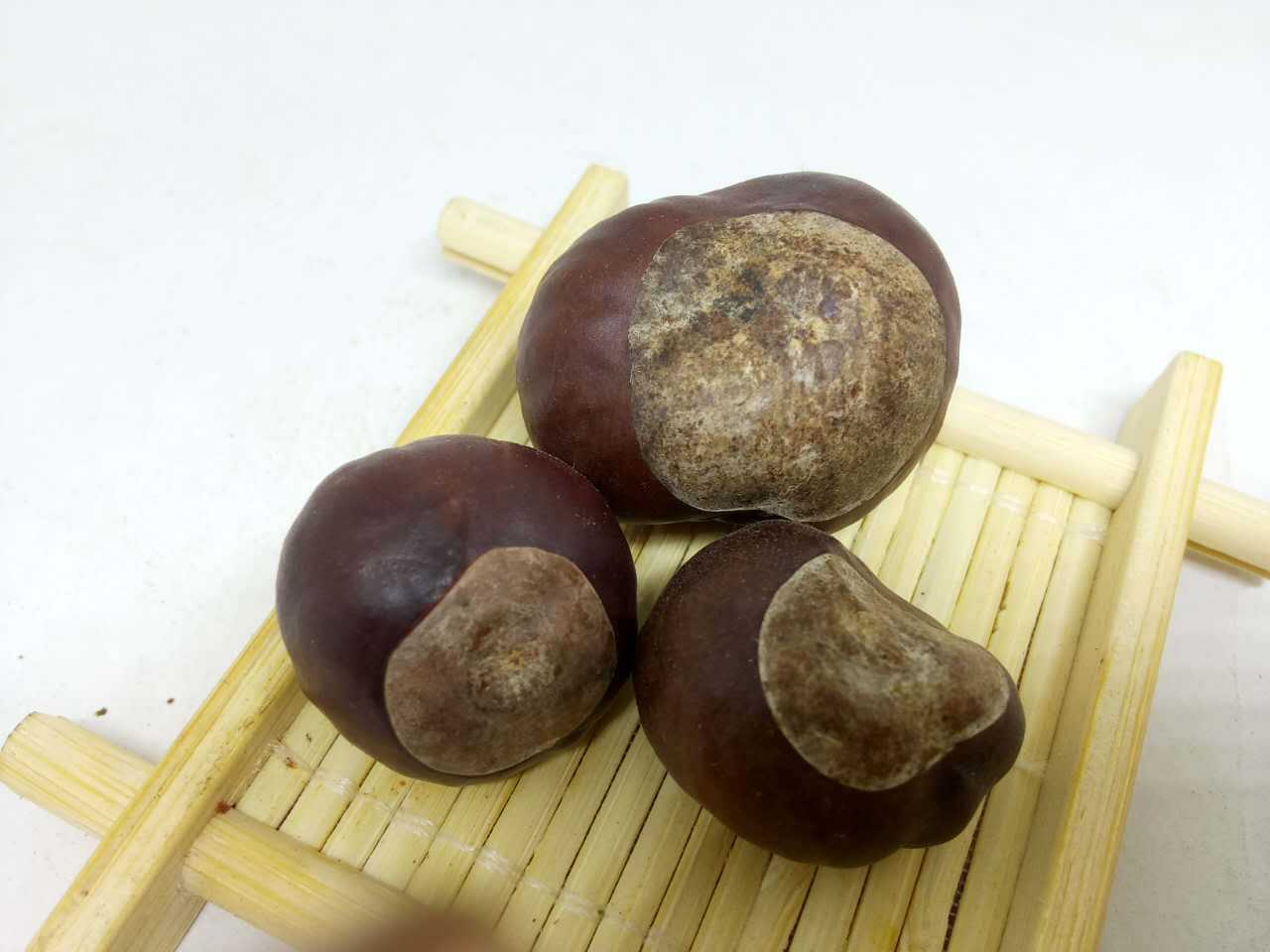 产地货源飒枫中药材 婆罗子 梭罗子 娑罗子实力厂家直销