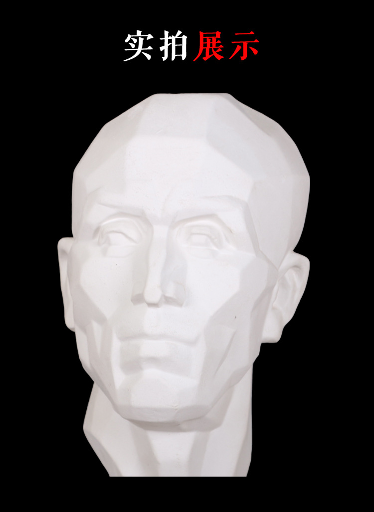 勃兰特头解二石膏像解剖切面石膏教具头像胸像写生教具美术用品