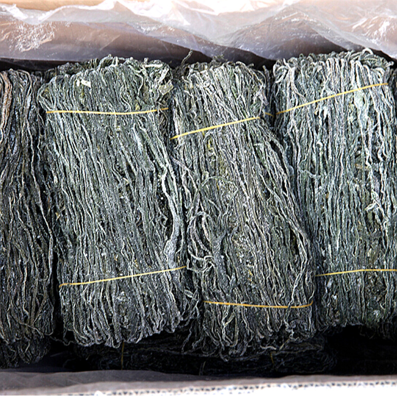 海带丝荣成厂家直销盐渍海带细丝 水产干货跑地摊海带1斤批发海带