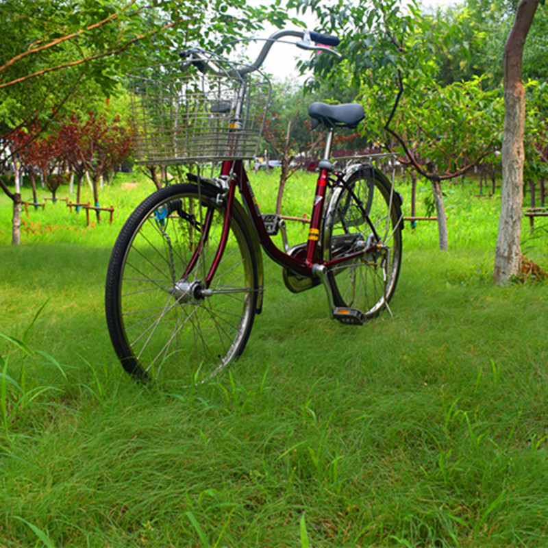 普通自行车通勤车日本车24寸26寸女士内变速内三速自行车弯梁独梁