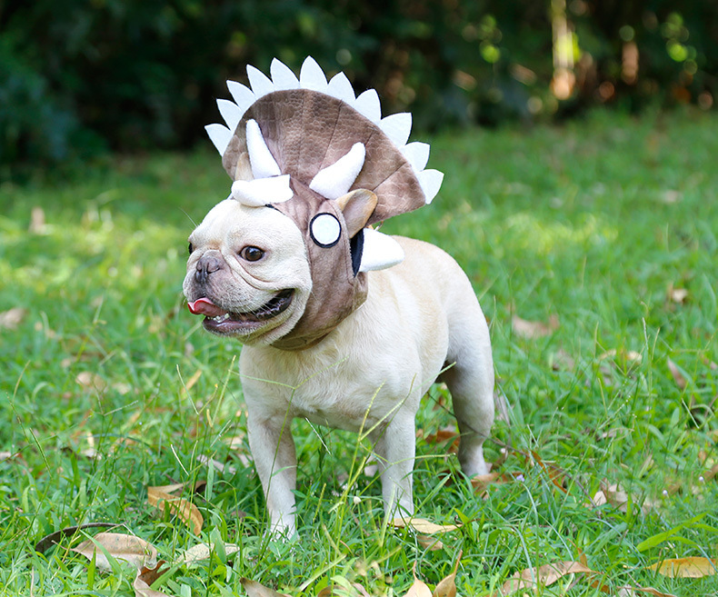 万圣节日帽子头巾狗狗三角龙宠物头套 法斗牛金毛三角恐龙变身装