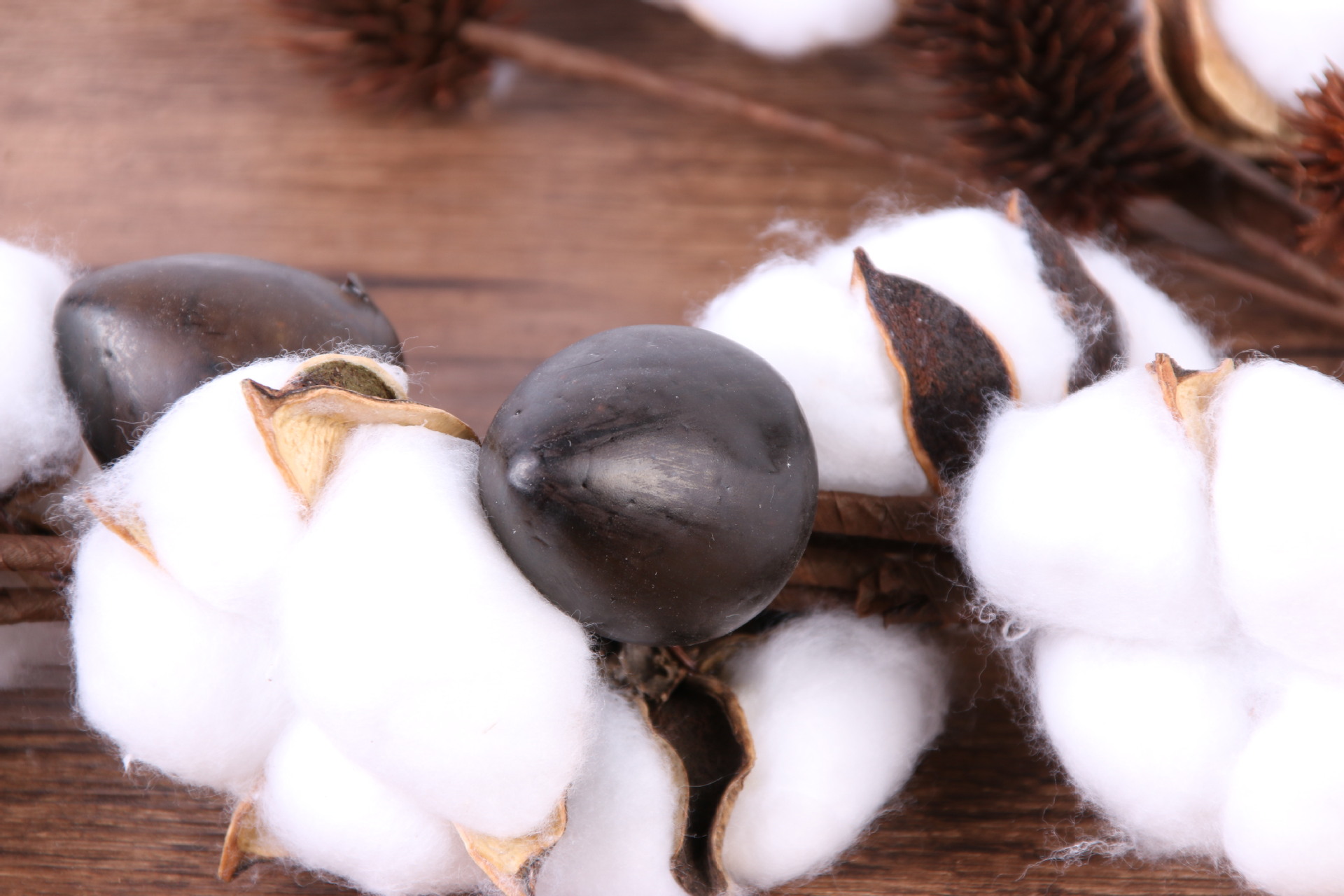 高档仿真花假花棉花单枝客厅装饰插花摄影道具花艺复古永生花批发