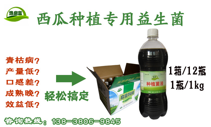 西瓜青枯病防治专用益生菌