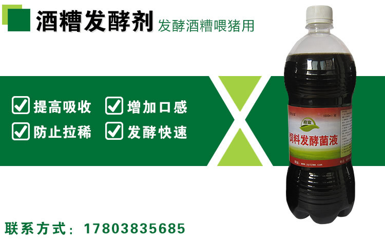 发酵酒糟喂鸡