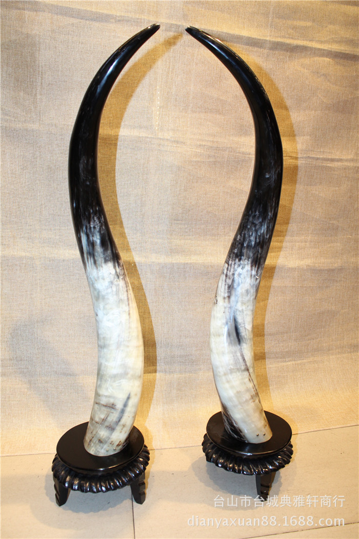 纯牛角摆件牛气冲天10x10x71cm 底座10cm (1)
