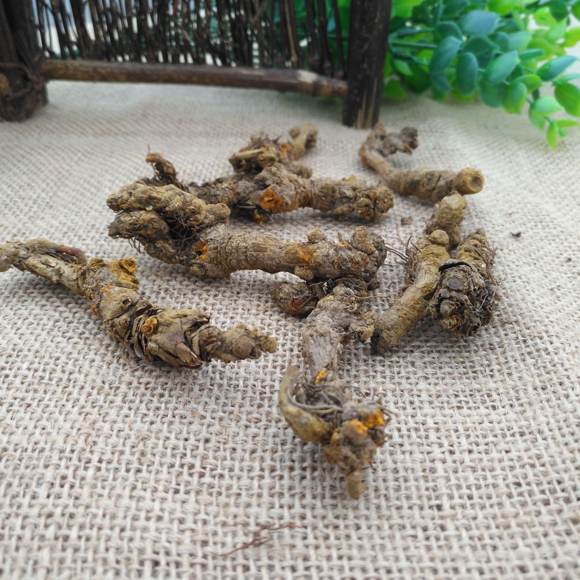 产地货源中药材四川黄连片单只连鸡爪连1000g各种规格黄连批发