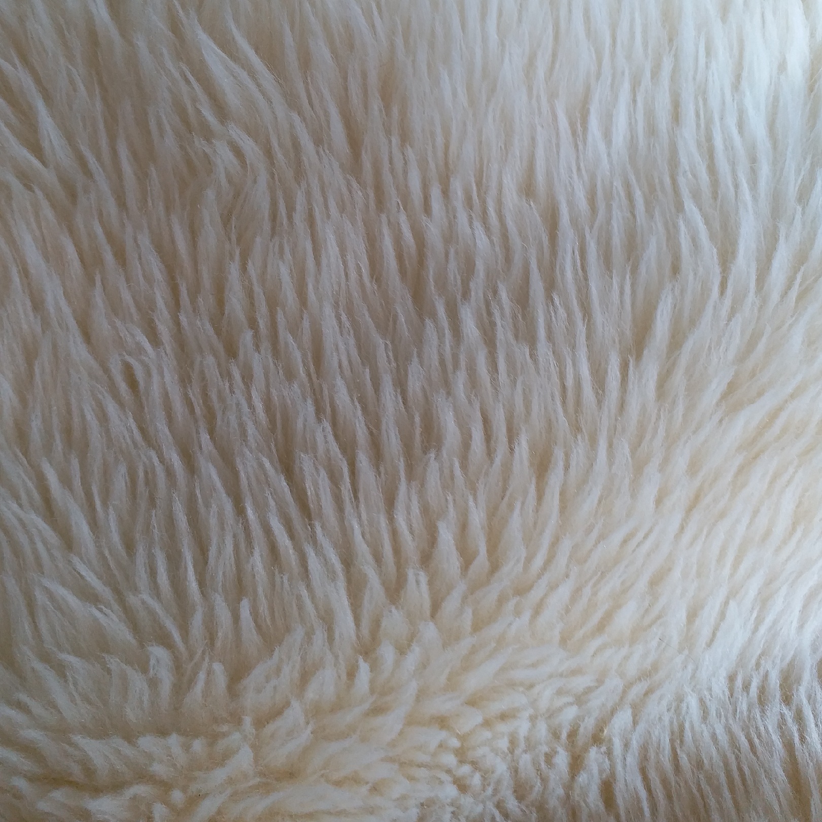 供应滚束绒 滚束毛 羔羊滚束绒 多色现货 滚束长毛绒等