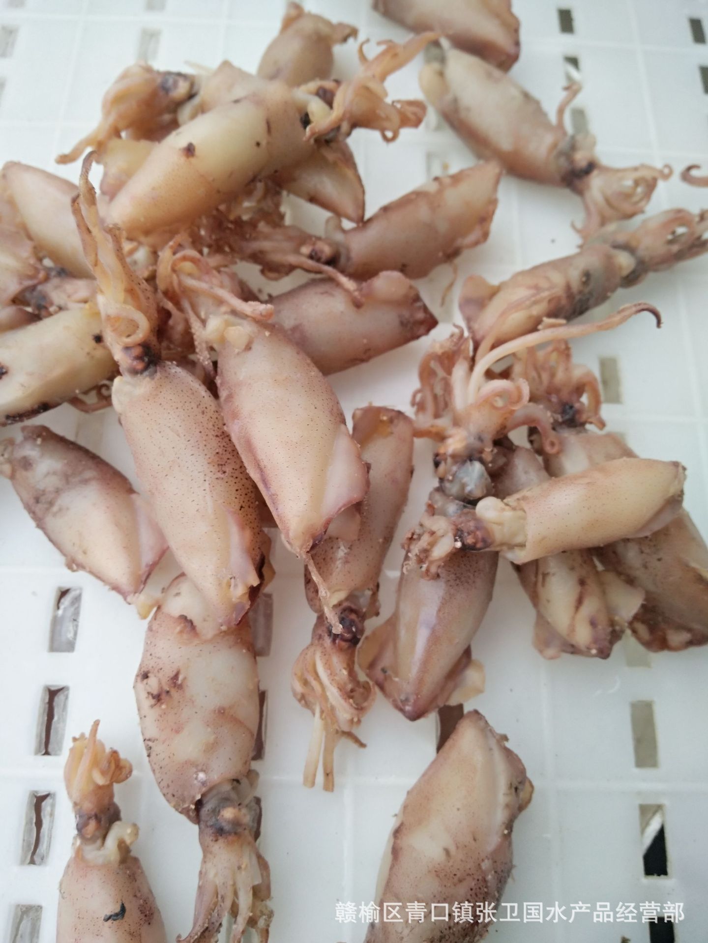 【卫国海产】海鲜特产 新鲜仔乌 皮乌 海兔干 小管250克批发