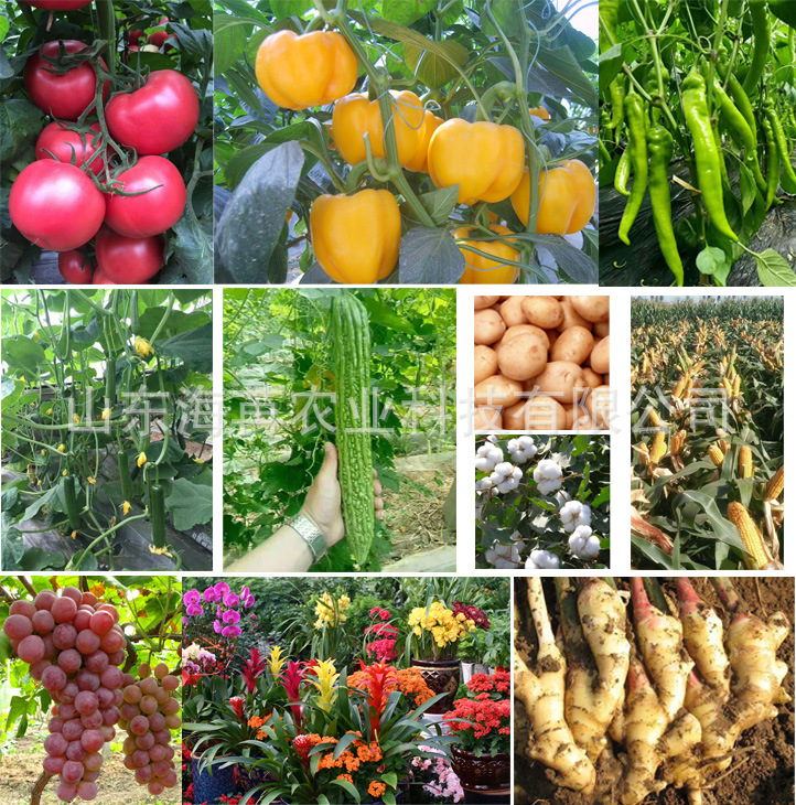 嘉实多使用作物