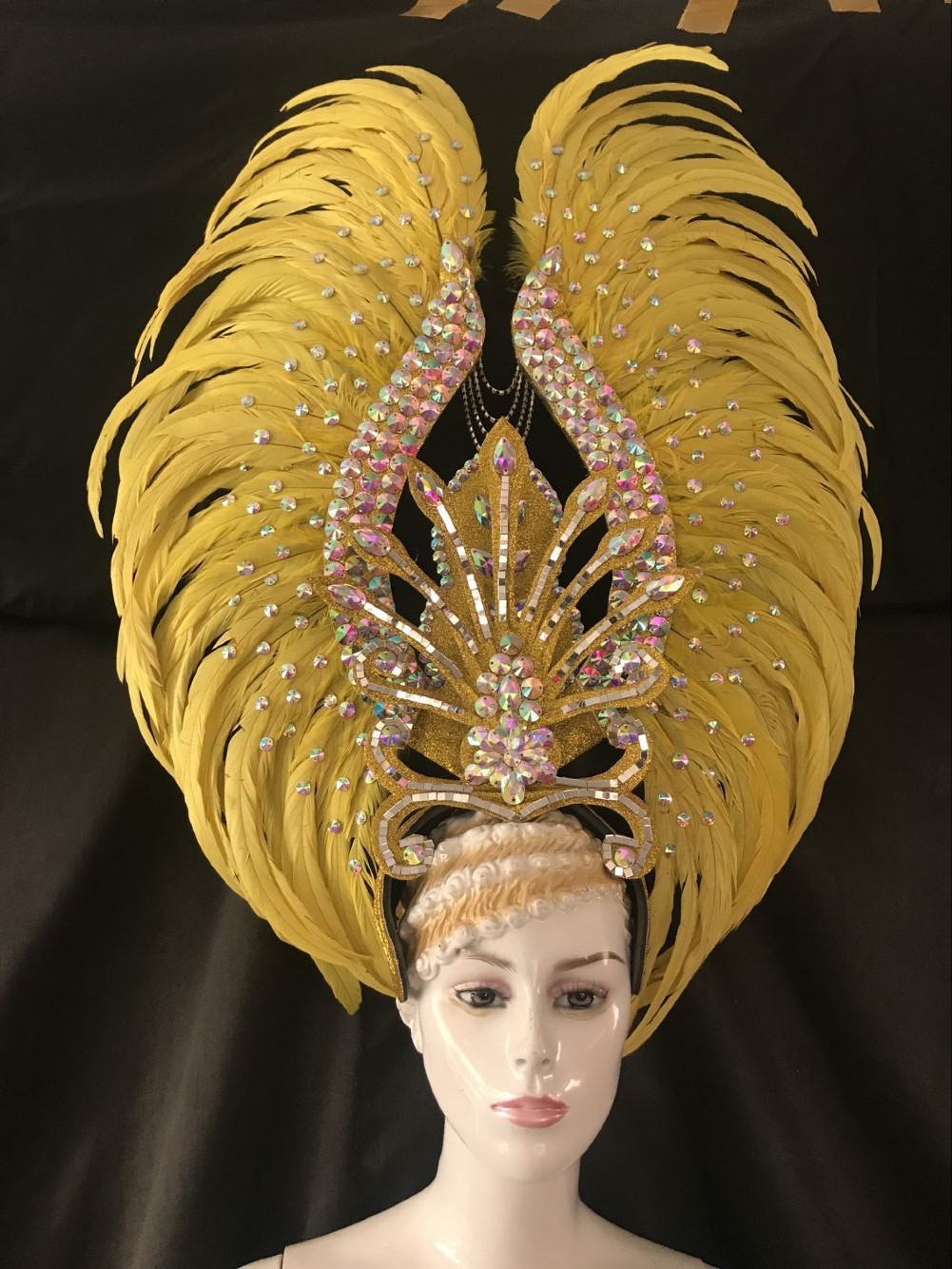 开场舞台演出羽毛服装夸张头饰花翅膀狂欢节维多利亚商演走秀女装