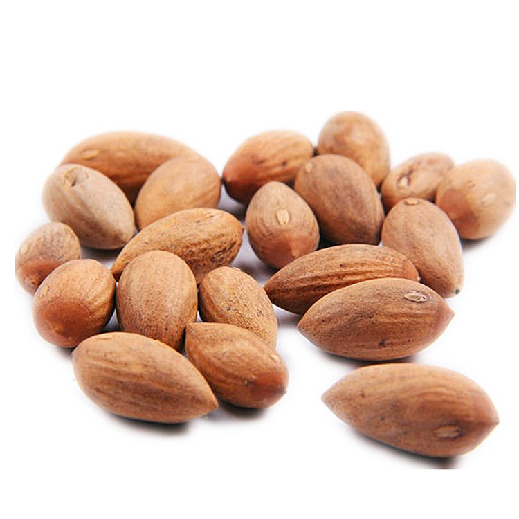 wxt问心药业供应小榧子香榧药用原生态一件起批量大从优一件代发