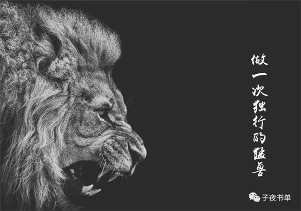 坐着火车去看猛兽|猛兽表演