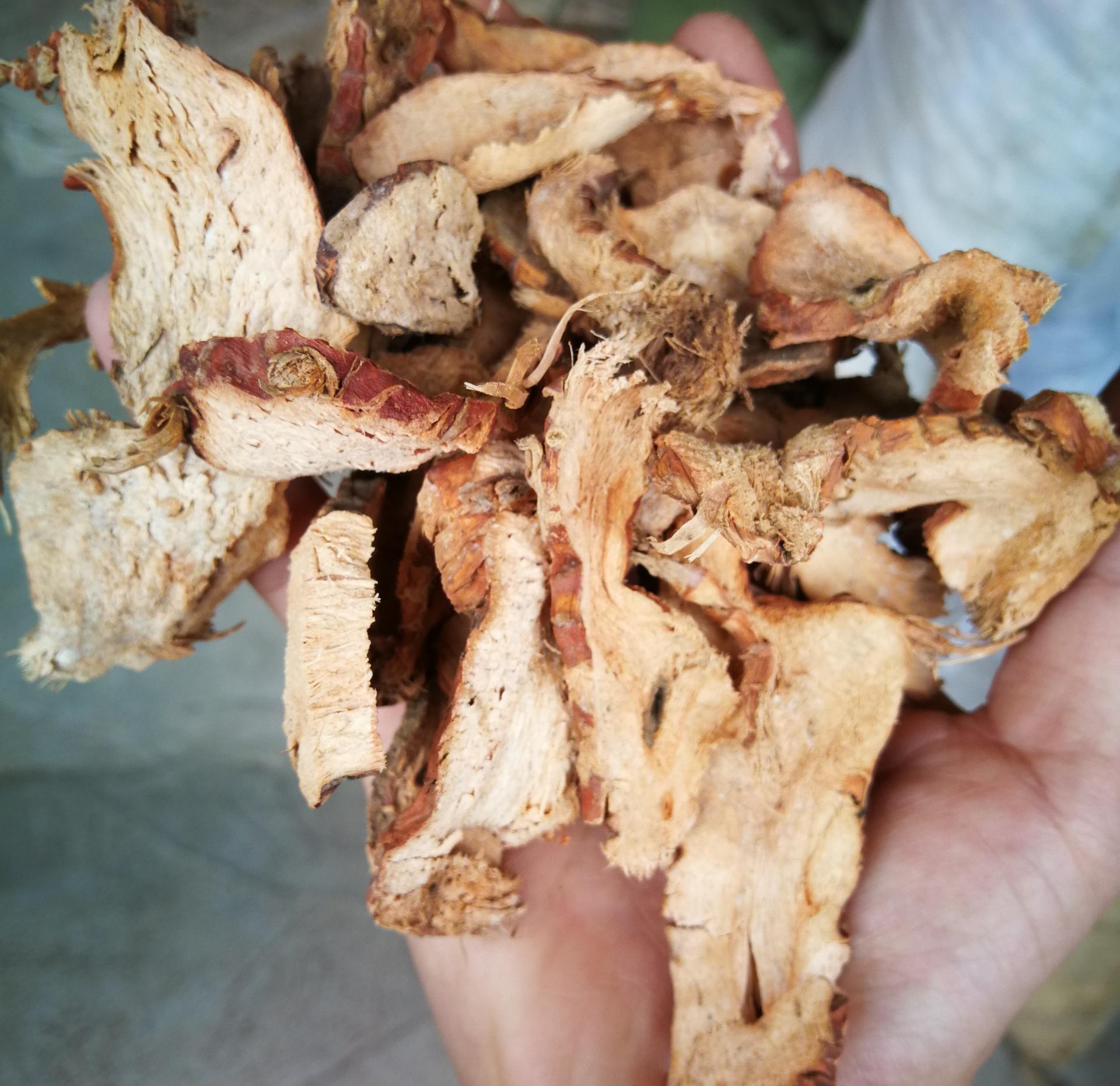 大良姜 南姜片 大良姜片 野山姜 南姜 另有小良姜