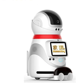 智能机器人;智能语音设备;学习/早教机