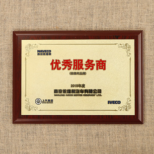 公司荣誉金属奖牌