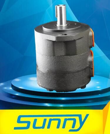 sunny油泵cp22-125-100-p-10r-d hydraulic pump underlicenceo