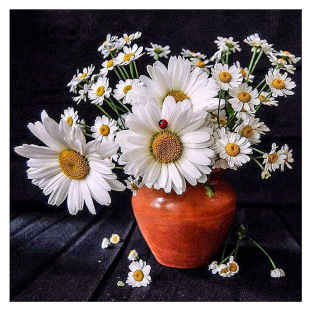 新款diy钻石画 白色雏菊魔方圆满钻绣 客厅装饰 厂家直销图片定做