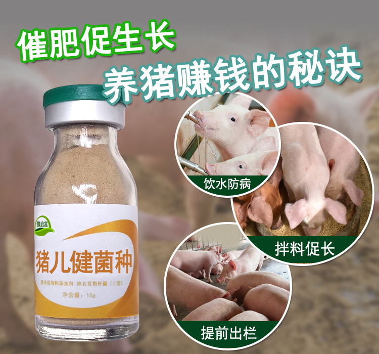 产品名称:猪儿健菌种(猪用促长剂)  产品规格:1000ml/瓶 12瓶/箱 230