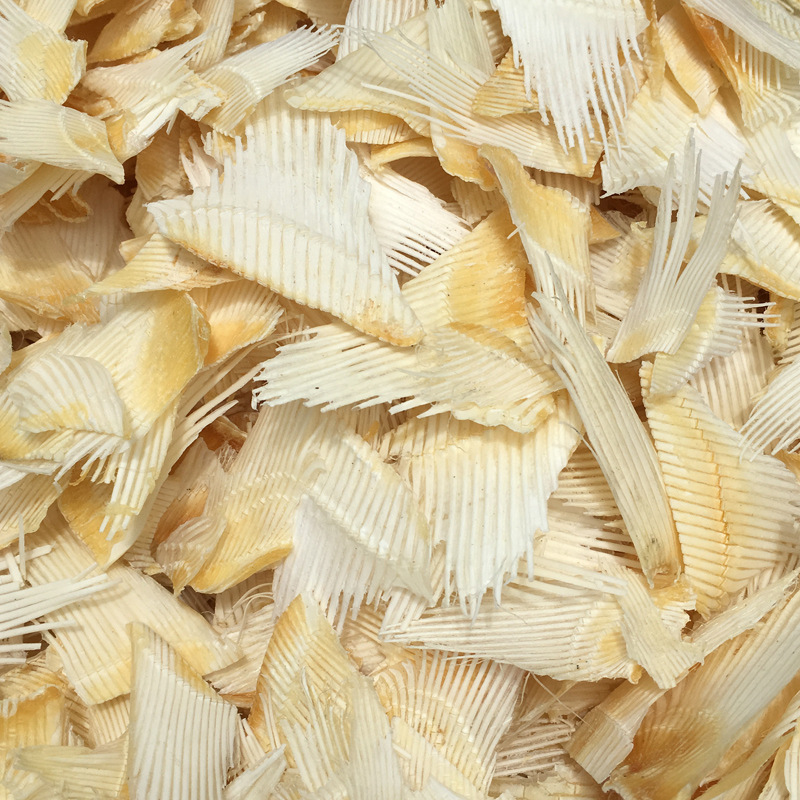 年货小鲨鱼骨 鲨鱼鱼骨 天然 沙鱼骨 未漂白 海鲜大礼包