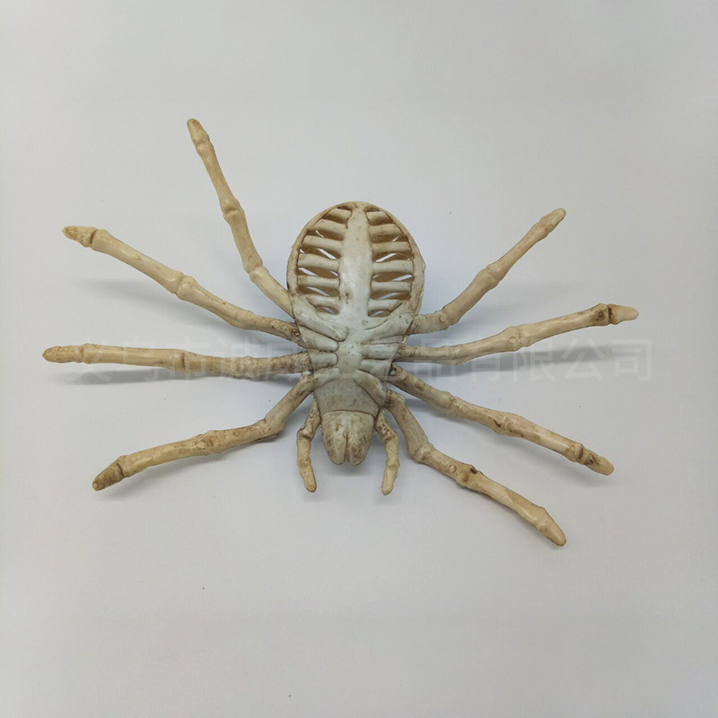 蜘蛛 直销新款万圣节恐怖装饰骨架蜘蛛 手工塑料挂饰骨架蜘蛛