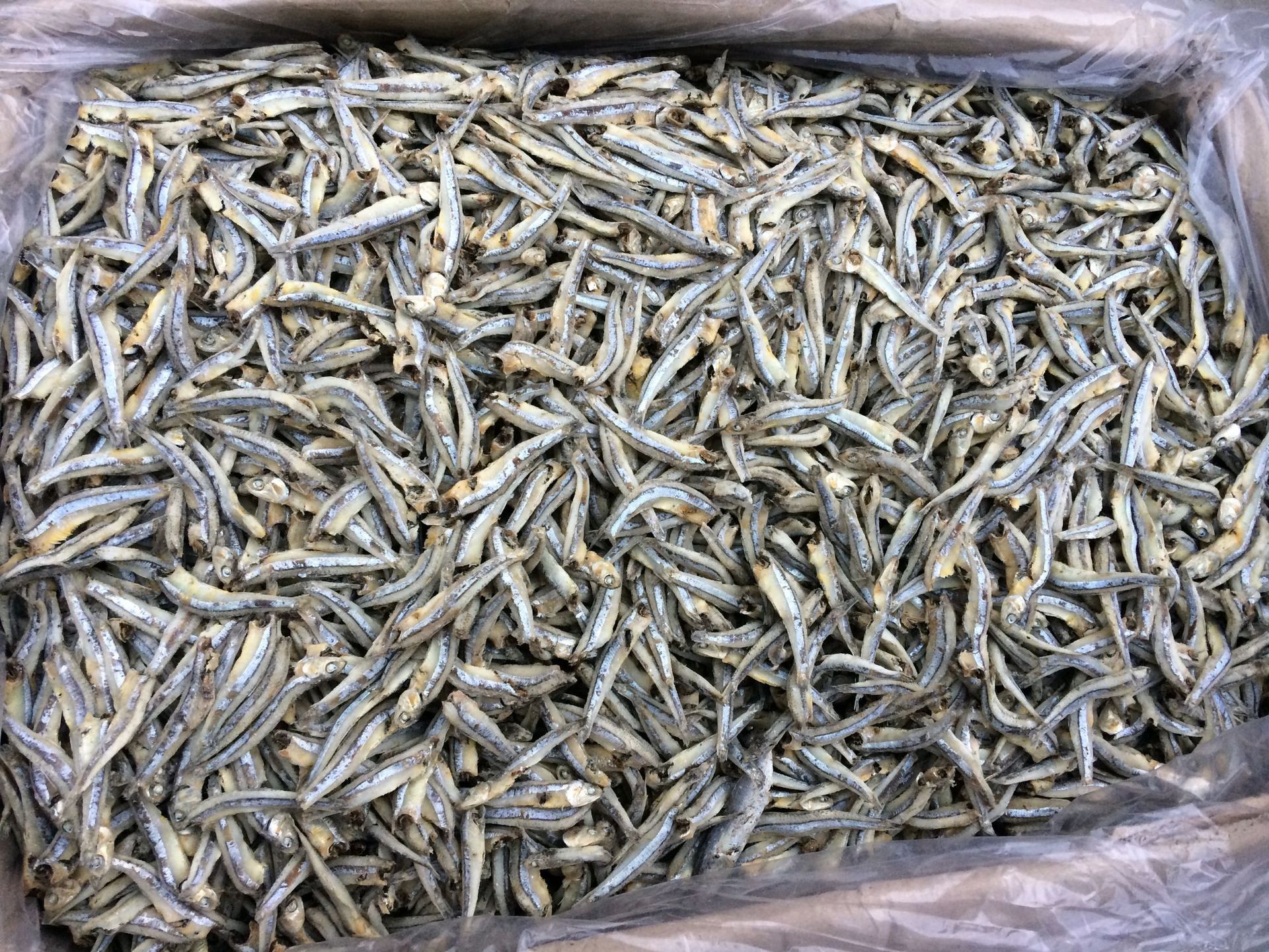 海燕鱼 海蜒鱼干 500g 无头海燕鱼公干鱼 一箱26斤 小鱼干 海鱼干