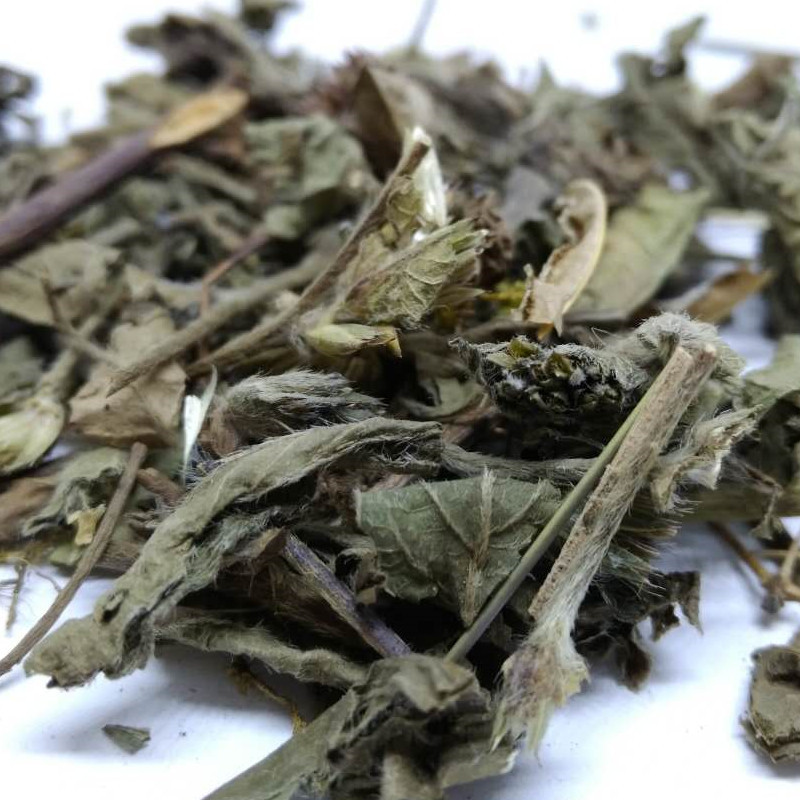 地胆草 鞋根 草鞋底 地胆头 磨地胆 苦地胆 地苦胆 抓药