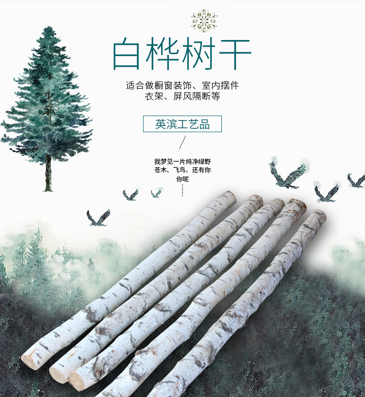 森系婚礼原料白桦树树干白桦树杆桦木室内装修树主题装修厂家直发