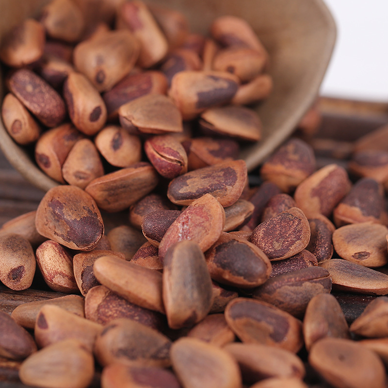 生松子东北野生