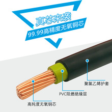广州珠江电缆ZC-BVV-25平方国标铜芯阻燃双胶花城牌电线厂家直销