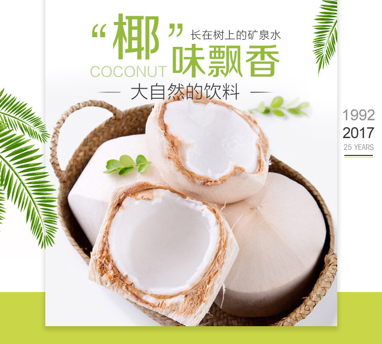 椰青椰子汁_泰国进口2个椰子汁煲汤水果新鲜孕妇水果椰奶椰子皇批发 -