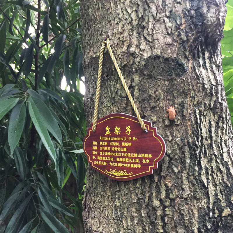 亚克力铝板树牌 树木挂牌 花草牌 介绍牌 树木保护牌 户外挂树牌