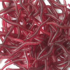 5cm0.2g仿生蚯蚓仿红虫腥味钓鱼假饵鲫鱼鲤鱼草鱼钓饵仿真饵