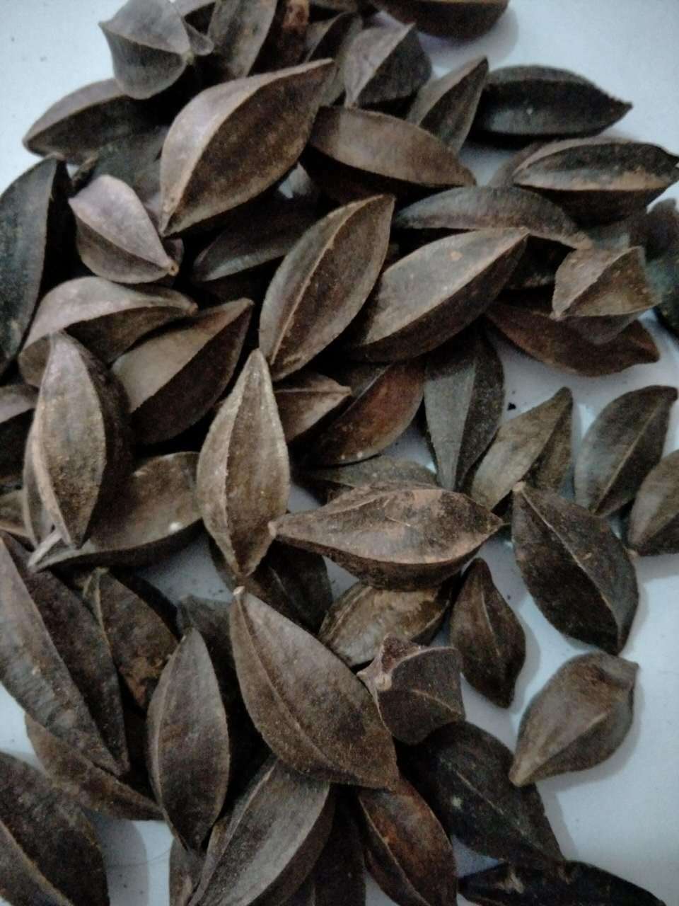 飒枫中药材 使君子/留求子/史君子/五棱子 大货批发 厂家直销