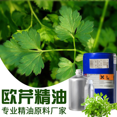 批发欧芹精油 芹叶精油植物 化妆品手工皂原料厂家加工oem