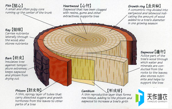 天作墙衣木纤维木质纤维素高档墙衣壁纸墙纸专用优质白色木纤维
