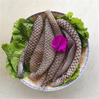 火锅食材鲜鱼皮 火锅酒店食材厂价直销优惠供应 新鲜冷冻冒菜鱼皮