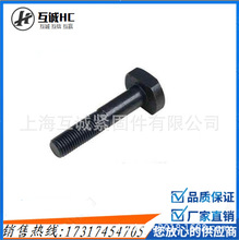高强度T型螺栓 DIN261-2010 M8-M100 碳钢8.8级 发黑