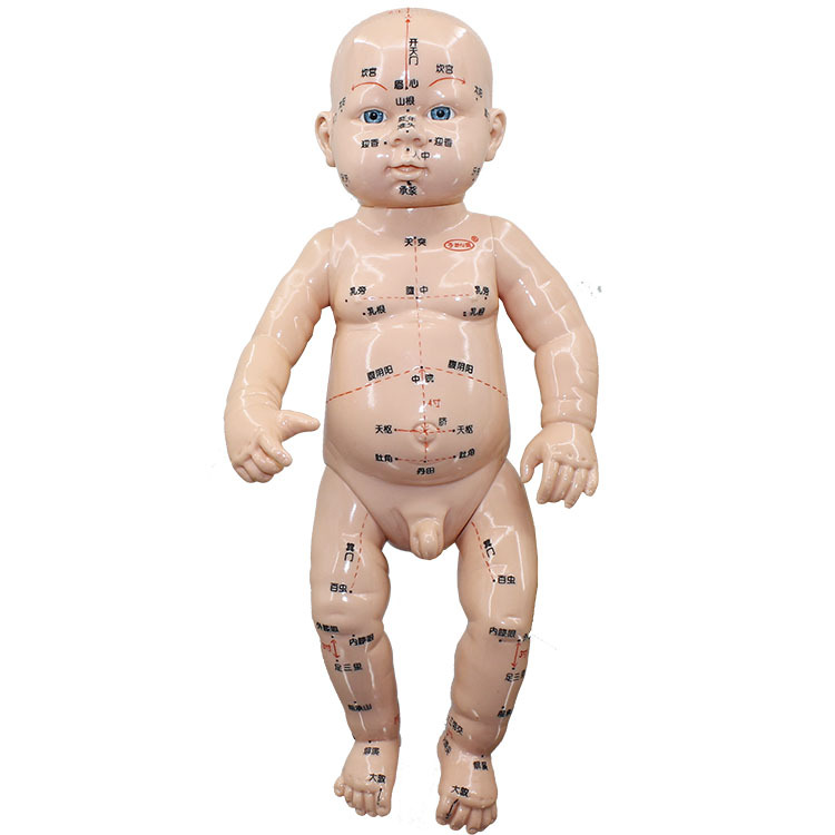 小儿推拿娃娃穴位模型 穴位模型 娃娃穴位模型 小孩穴位模型