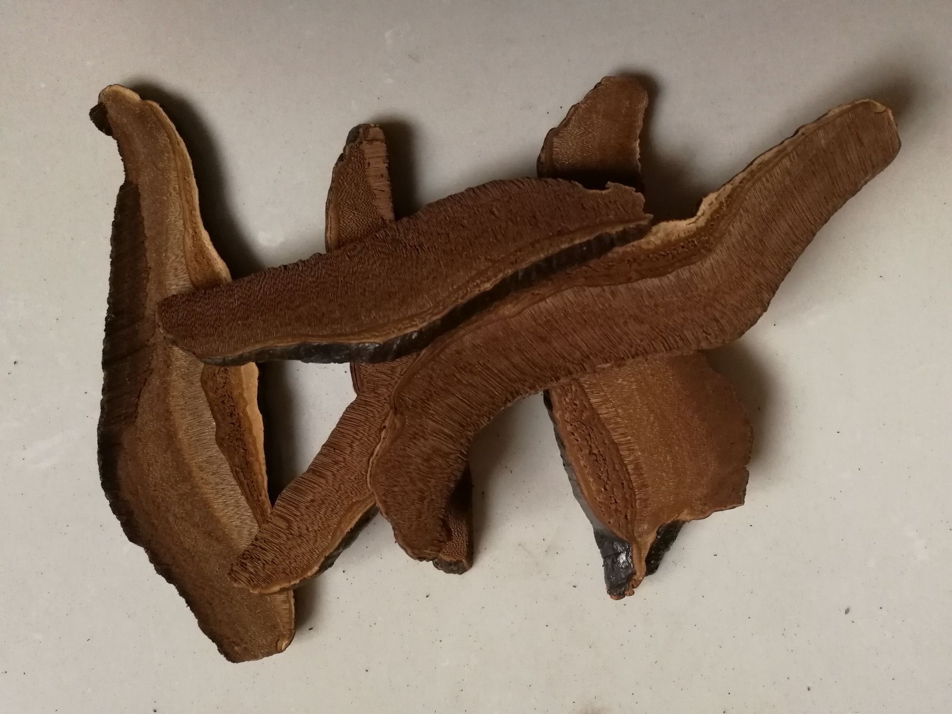 灵芝片 赤芝切片 紫芝切片灵芝茶丁 产地货源 现货供应