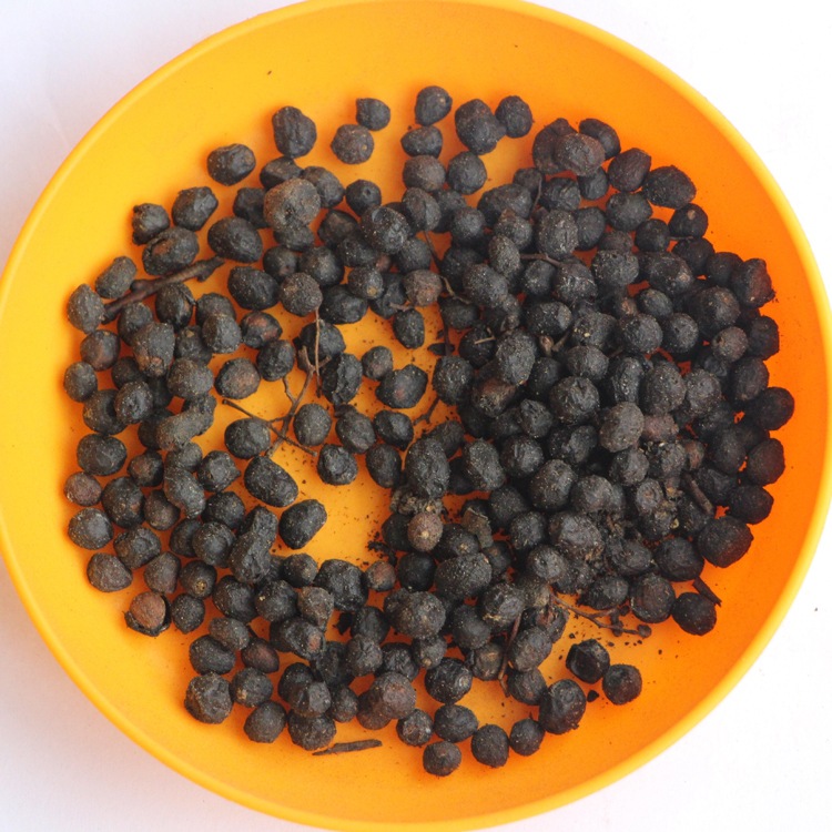 销售白檀种子白檀种子批发观叶种名贵树苗工程草花种绿化工程种子