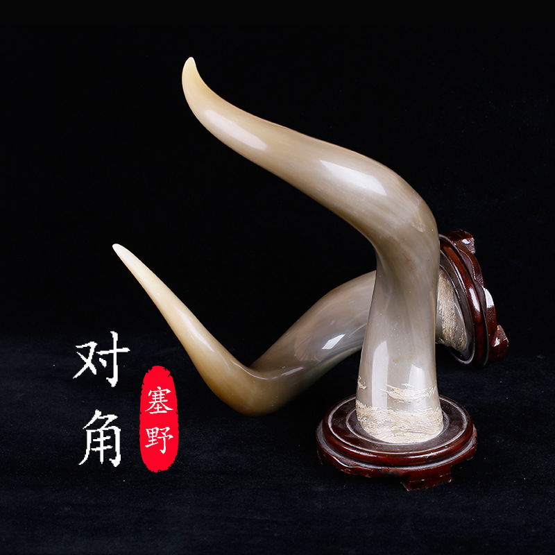 采源宝塞野牦牛角对角工艺摆件 天然牛角每对不同 联系客服下单