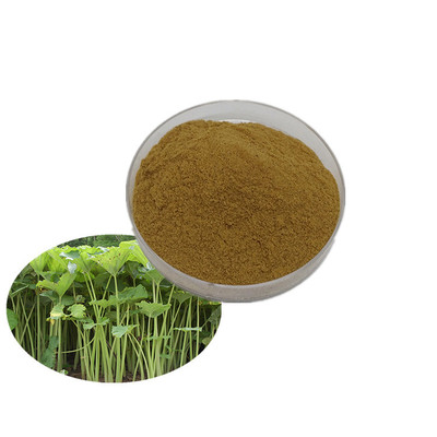 现货包邮 蜂斗菜提取物 蜂斗菜素15% 龙生生物 sc认证