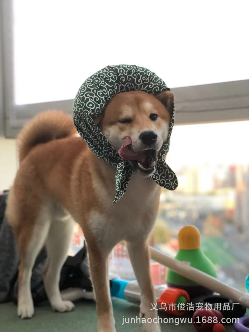 日系创意搞笑主子要出走柴犬中大型犬猫咪包袱围巾围脖