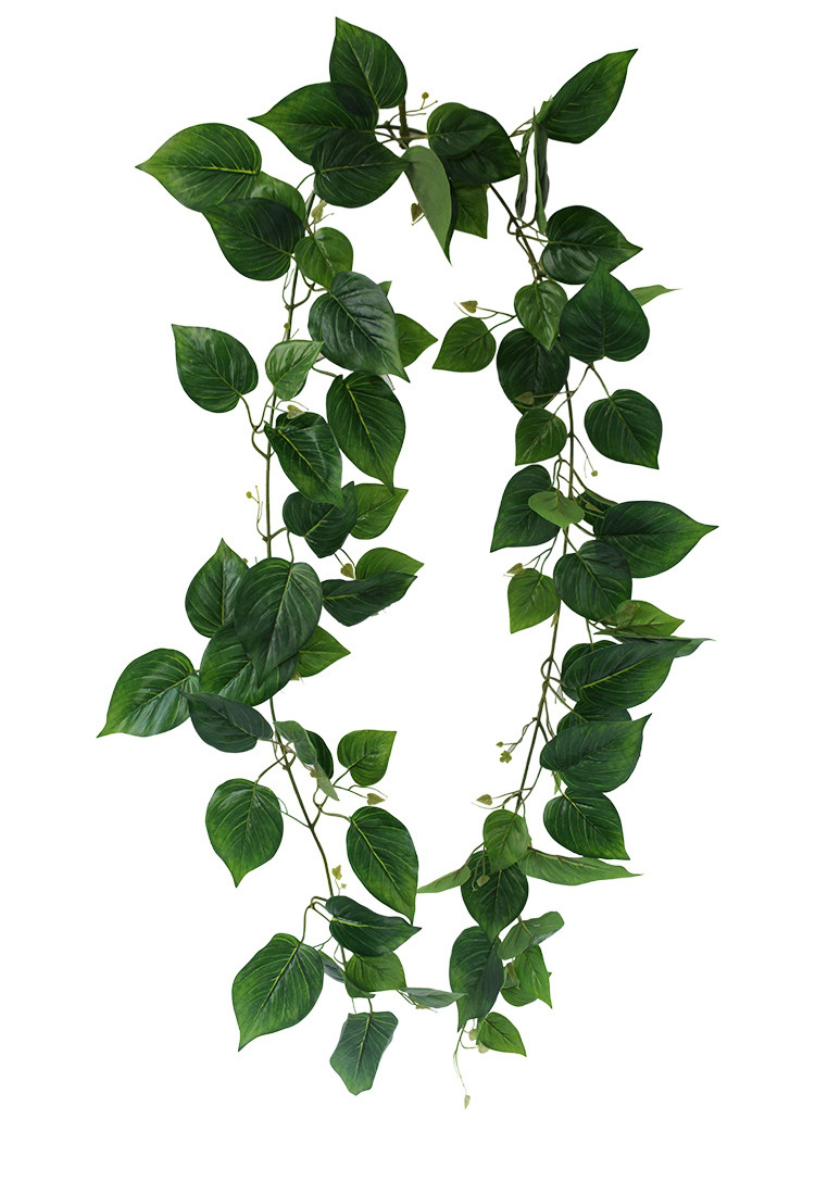 厂家直销植物壁挂花纯色绿萝藤仿真水管道壁挂花纸箱壁挂花装饰工