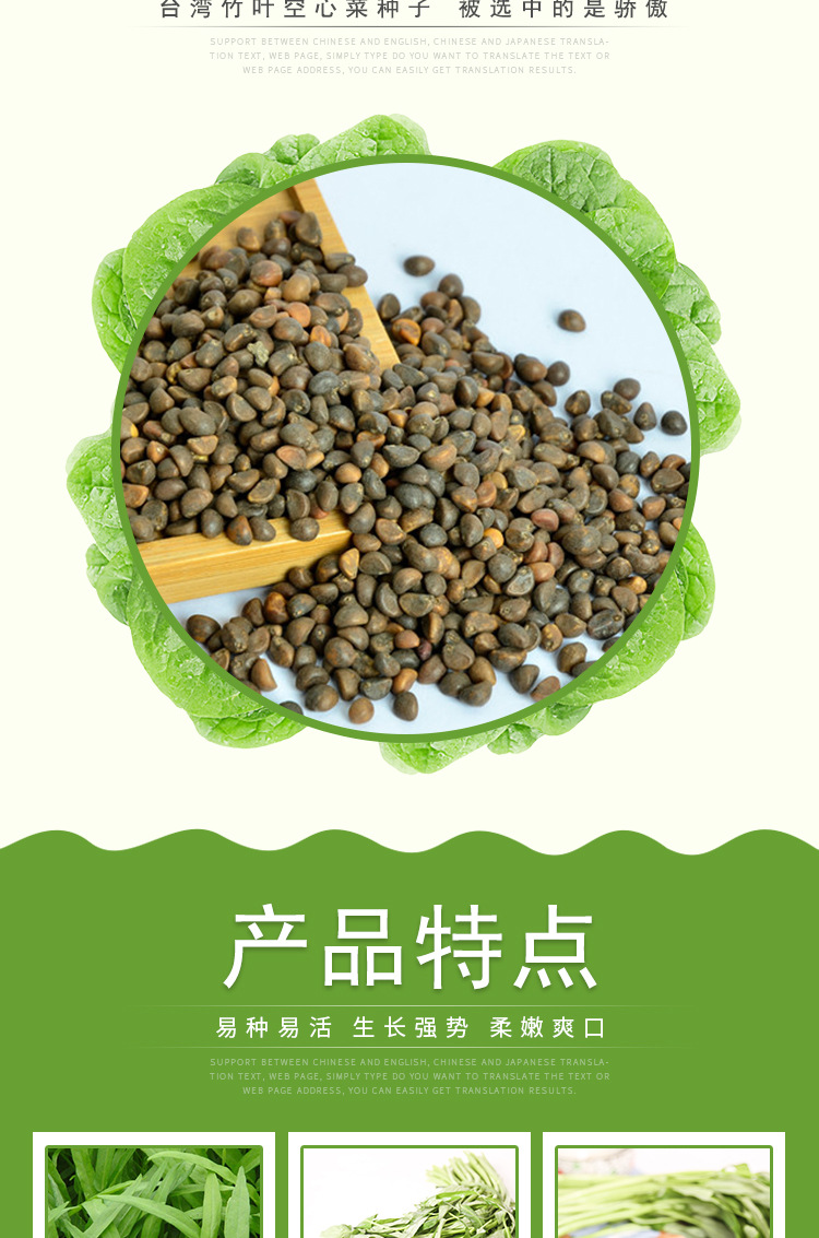 现货批发翠竹3号空心菜种子 叶片细长500克蔬菜种子基地农户选择