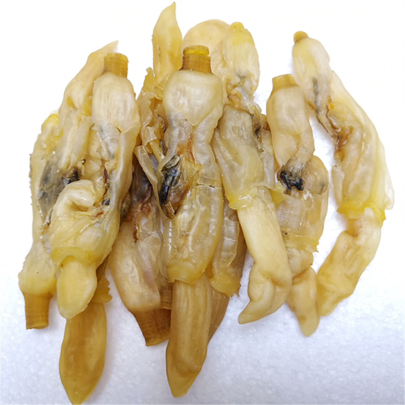 新货淡干无沙蛏子干蛏干竹节蛏干海鲜干货海产品批发