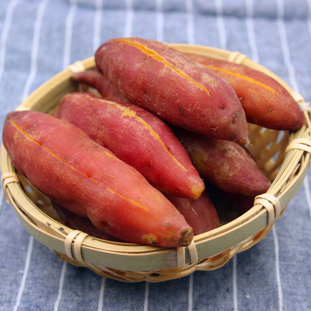 &le; 10(%)  淀粉含量&ge; 2(%)  蛋白质含量 2(%)  产地/厂家 广西